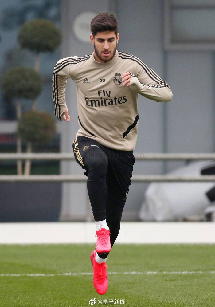 包含这也行？多伦多猛龙转会期回应争议今晨利物浦备战国王杯，今晚夏洛特黄蜂备战欧联的词条